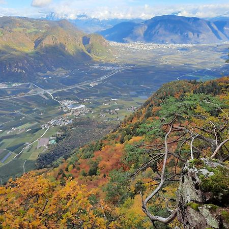 Tinnerhof Аппиано-Сулла-Страда-дель-Вино Экстерьер фото