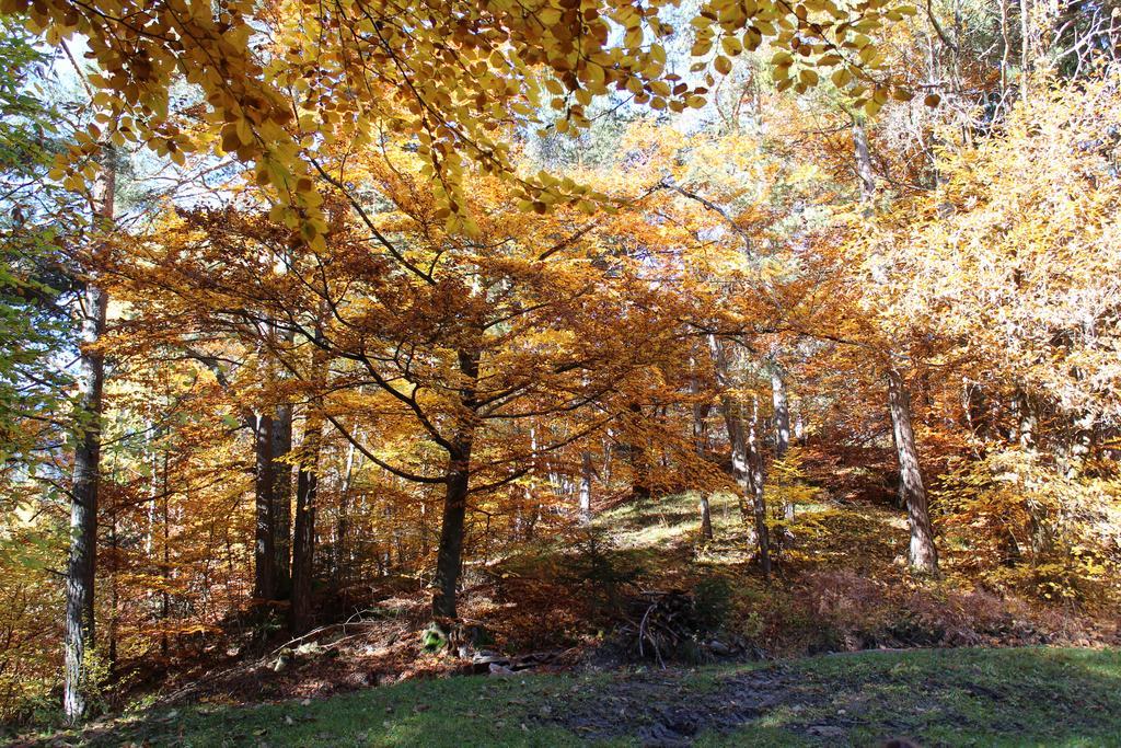 Tinnerhof Аппиано-Сулла-Страда-дель-Вино Экстерьер фото