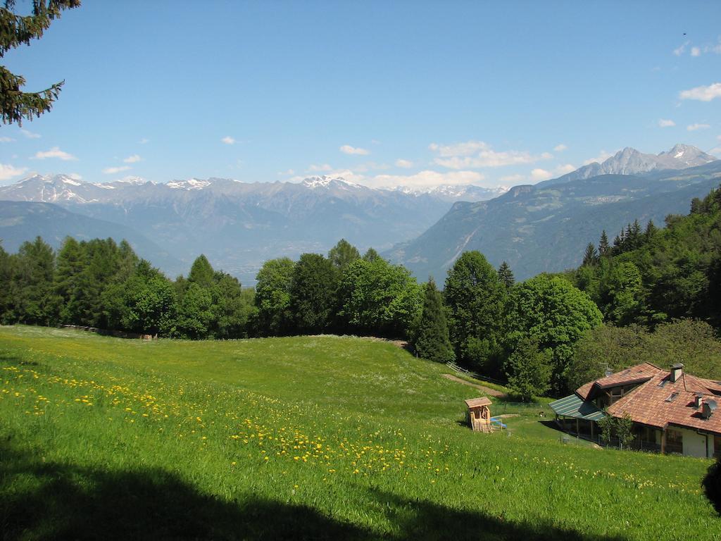 Tinnerhof Аппиано-Сулла-Страда-дель-Вино Экстерьер фото
